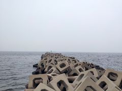 -东疆建设开发纪念公园