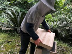 -都江堰中华大熊猫苑