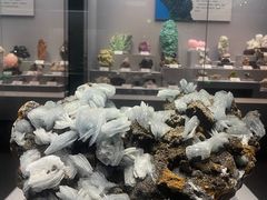 -湖南省地质博物馆