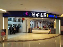 -炫采冰场(红博中央公园商场店)