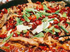 -老板恋上鱼(高新万达店)