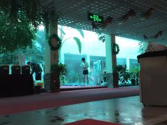 -奥帕拉拉水公园
