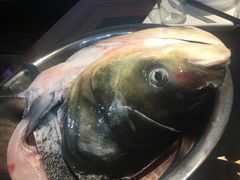 千岛湖胖头鱼-好灶头妈妈菜·柴火灶台鱼·千岛湖土菜地标美食