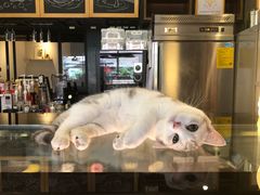 -咖法森林·咖啡  酒吧(天河店)