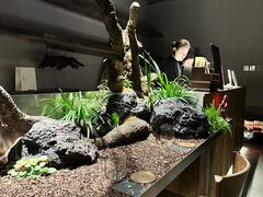 -曲廊院(东四十一条店)