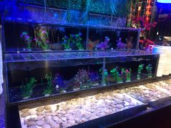 -千百叶海鲜自助餐厅(万达广场店)