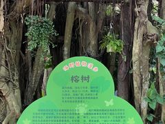 -海南热带野生动植物园