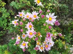 -天津东丽湖风景区