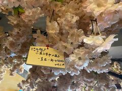 -猫猫幼稚园·撸猫·桌游·电玩