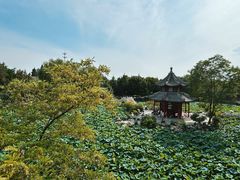 -莲池书院博物馆