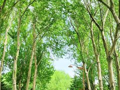 -长春公园(普阳街道)