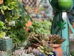 -杨厝六十六农庄农舍(杨厝路店)