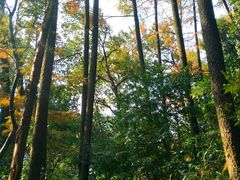 -西湖风景区-江洋畈生态公园
