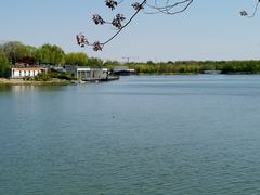 -大兴滨河森林公园