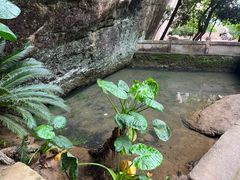 -武夷山风景名胜区-虎啸岩