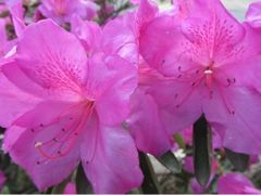 -常德桃花源景区