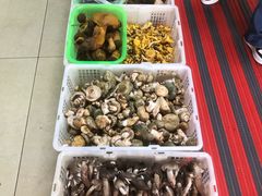 -双喜农庄·菌香园(安居家园店)