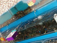 -港畔赶海蒸汽海鲜烧烤自助(仙螺岛店)
