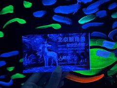 -梵高星空艺术馆(北京旗舰店)