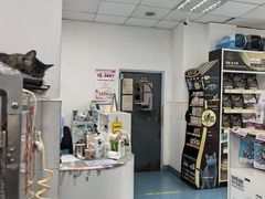 -北京赛佳动物医院