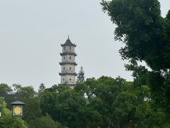 -江心屿景区
