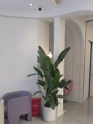 -小阿福儿童摄影(摩尔城店)