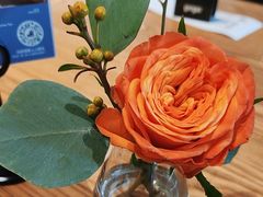 -gaga(深圳南山益田假日广场店)