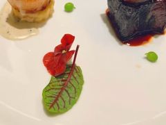 -沈灶河豚宴·河豚融合餐厅(汉中路店)