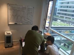 -菠萝国际教育专注Alevel·IGCSE·IB·AP·托福雅思培训辅导(静安校区)