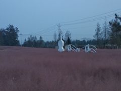 -羊亭河湿地公园