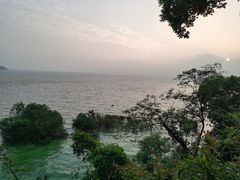 -上海市保健医疗中心