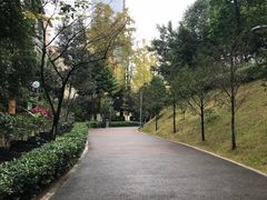 -百林公园-两江幸福广场