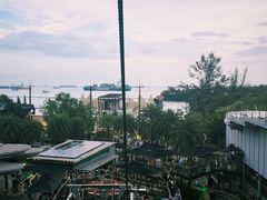 -圣淘沙天际线斜坡滑车