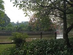 -晓港公园