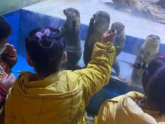 -华夏文旅海洋公园