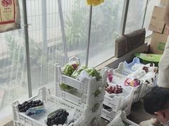 -马陆小张葡萄园农家乐