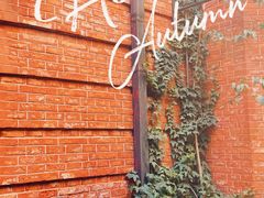 -Ocean's Table 欧舍