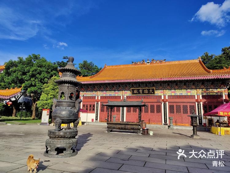 深圳小众寺庙~"龙兴寺"-大众点评