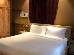 -松赞拉萨林卡酒店