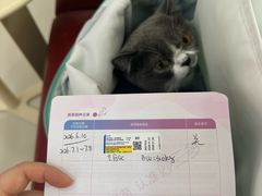 -御宝贝24h宠物医院·转诊中心·CT核磁血透中心(厦门总院)