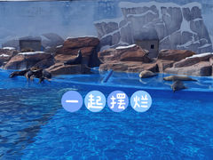 -上海海昌海洋公园