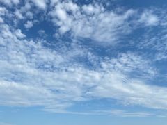-南汇新城海滩