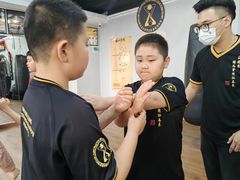 -温鉴良实用咏春拳