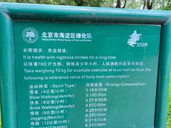 -北极寺公园