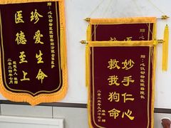 -心仪动物医院·牙专科·肿瘤·心脏科(西客站院)