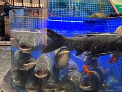 -味钱塘·钱塘浙宴(宋城之江银泰店)
