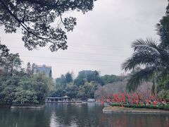 -晓港公园