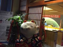 -汤泉良子(金源店)