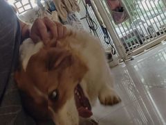 -平行世界·猫咖(首经贸店)