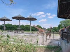 -宁波野生动物园